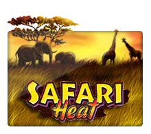 Joker123 : Safari Heat - TURBOBET168