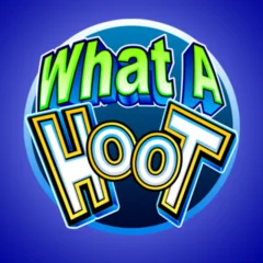 What A Hoot - TURBOBET168